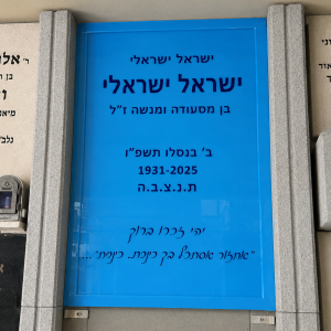 סנהדרין - פרספקט | כולל מסגרת