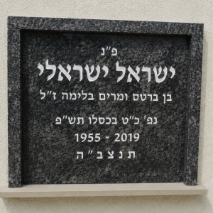 סנהדרין - שיש גרניט אוריינט/ביסאז בלו | כולל מסגרת